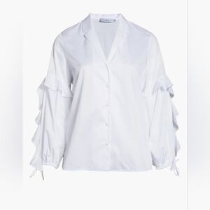 Harshman Vivona Ruffle Sleeve Tunic Shirt NWT 2X